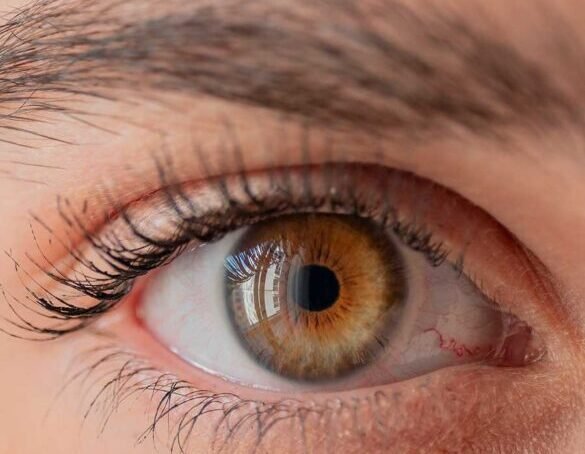 amazing eye close up 900 585x540 1